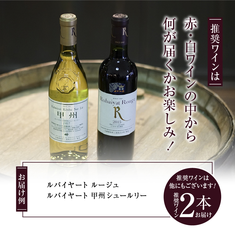勝沼ぶどうの丘推奨　赤白ワイン（各１本）Ｃセット B2-616 （KBO）