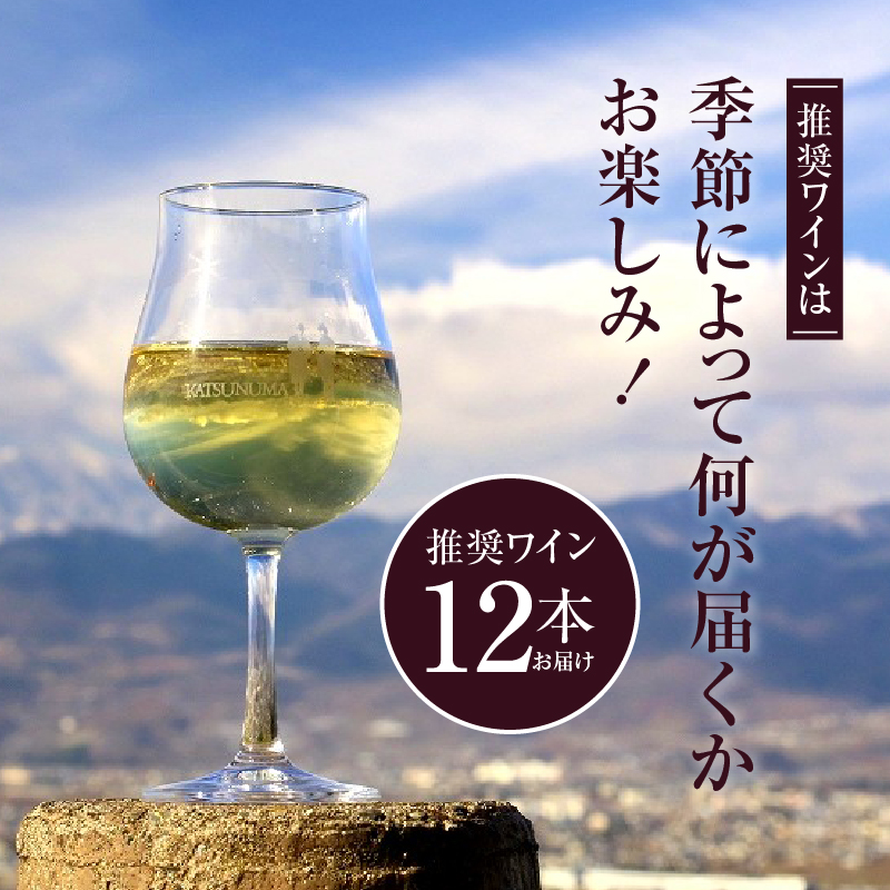 勝沼ぶどうの丘推奨ワイン シ－ズンオリジナル12本セット G-602