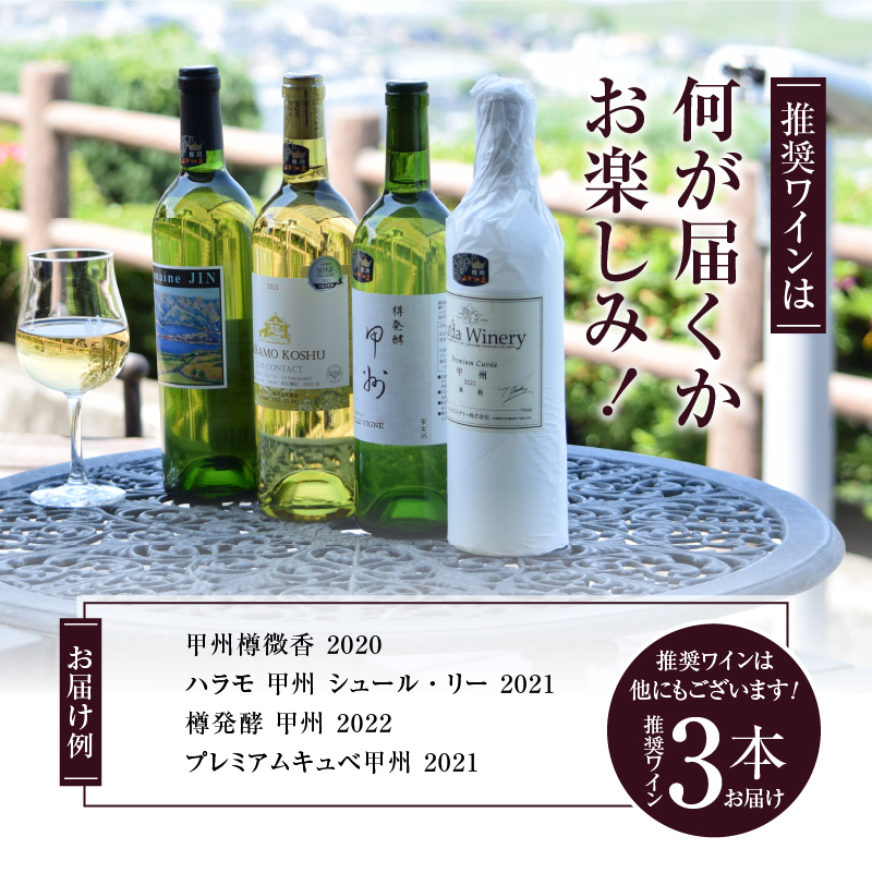 勝沼ぶどうの丘推奨白ワイン3本+タートヴァン（KBO）D-617