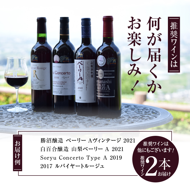 勝沼ぶどうの丘推奨 赤ワイン2本セット（KBO）B2-615