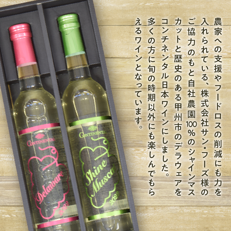 Premiumワインギフト（白）500ml×2本『シャインマスカットワイン＋デラウェアワイン』～2022～（HO）B16-775
