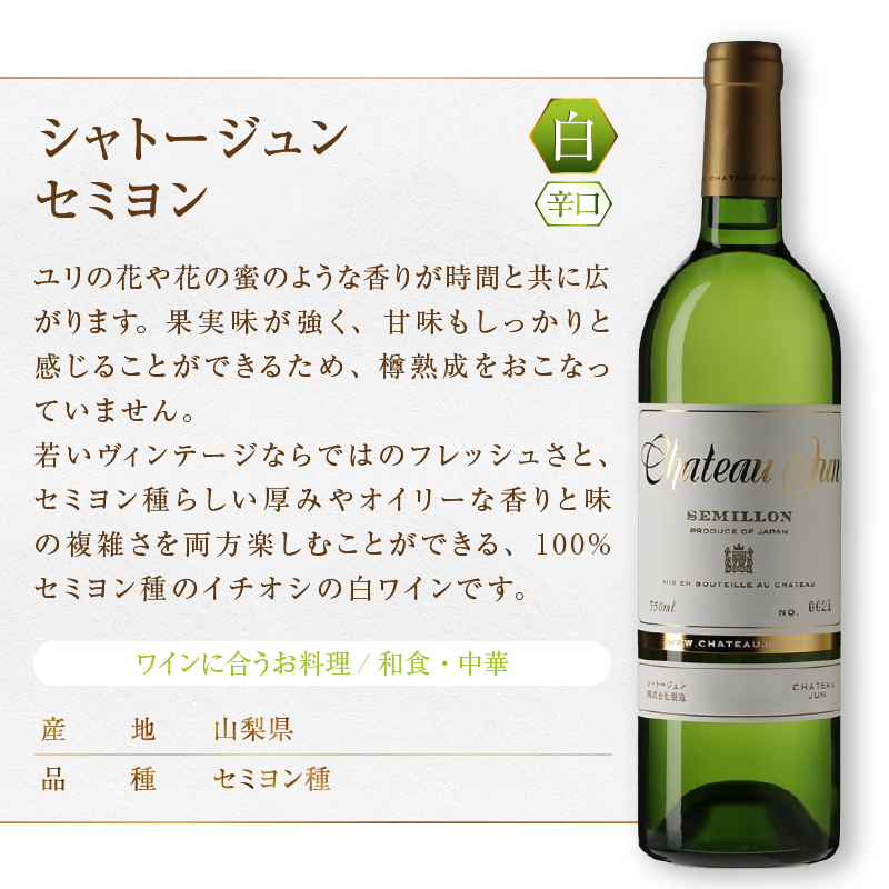 シャトージュン 3品種飲み比べセット【CABERNET SAUVIGNON・SAUVIGNON BLANC・SEMILLON】（MG）E-669