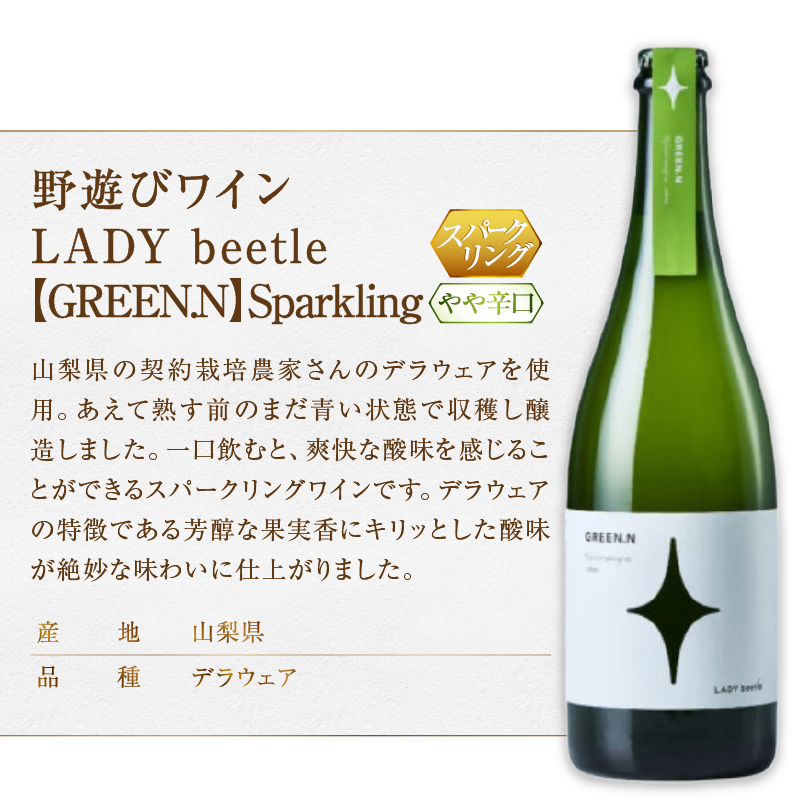 フジクレール 野遊びワイン LADY beetle【RED.N】【WHITE.N】【GREEN.N Sparkling】3本セット（MG）D5-633