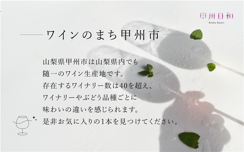 甲州市 イチ押し！ワイン12本セット（KSB）K9-621