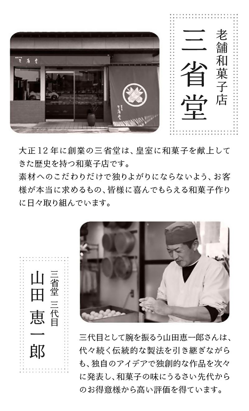 皇室献上菓子舗 三省堂 特製 贅沢蒸羊羹とフィナンシェ10個セット（VYD）B15-930