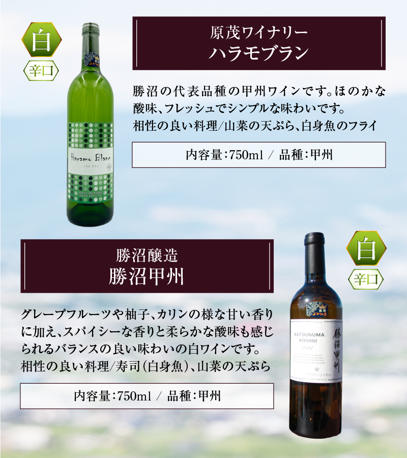 【日本遺産認定】「日本ワイン140年史」伝統あるワイナリー勝沼セット（KBO）D-624