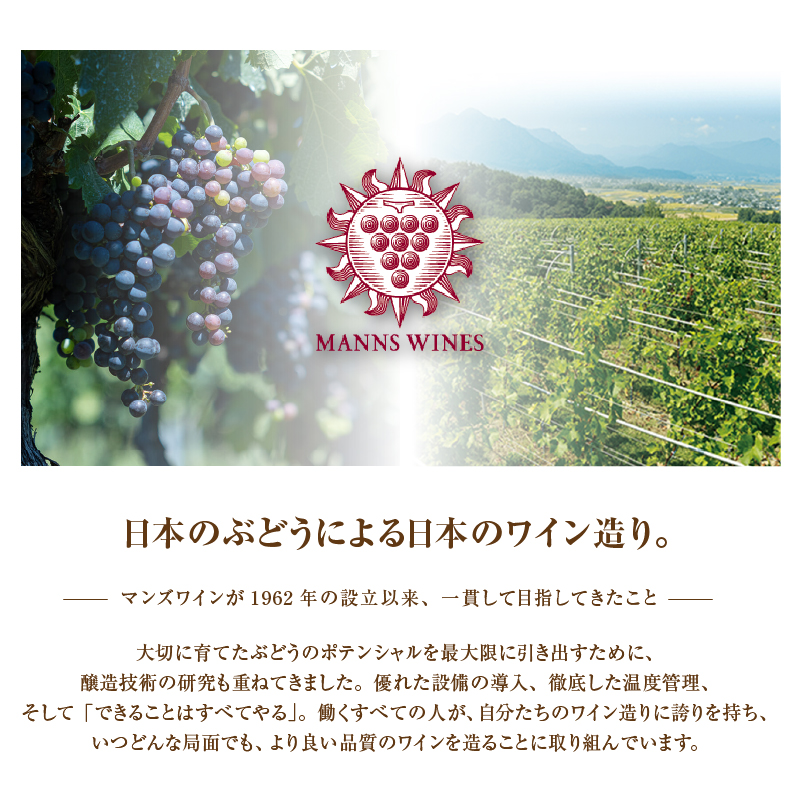 【マンズワイン】山梨県産マスカット・ベーリーA 赤・ロゼ 2本セット（MW）C-780