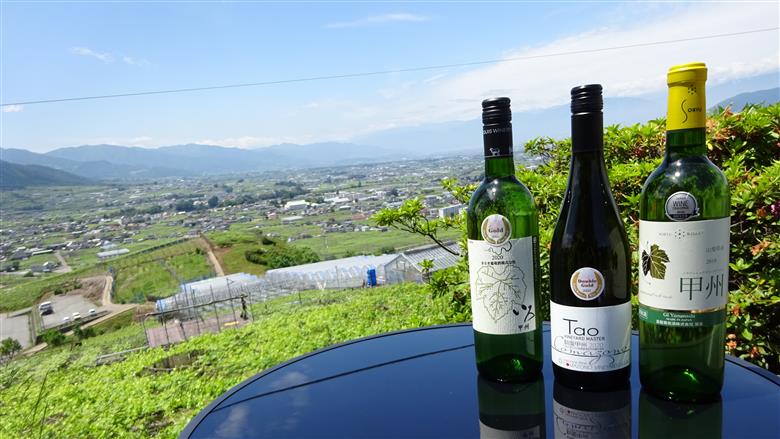 厳選ワイナリーの甲州ベーリーA赤白ワイン2本セット(MG)B2-660