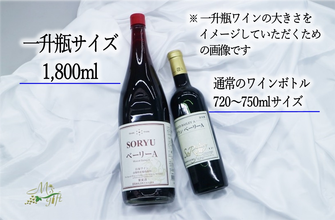 蒼龍葡萄酒 一升瓶ワイン赤白2本セット (MG) B16-652