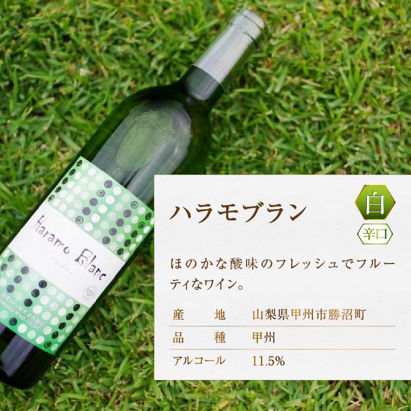 原茂ワインのスタンダードワイン赤白２本セット(MG) B12-652