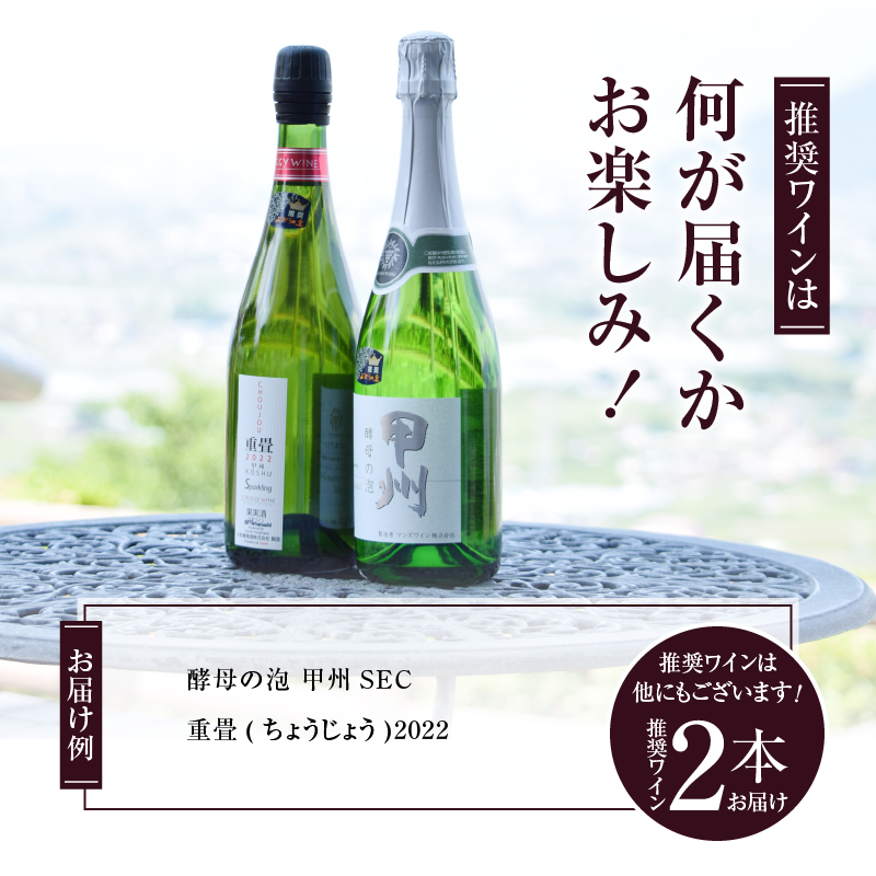 勝沼ぶどうの丘推奨スパークリングワイン辛口2本セット B2-604 （KBO）