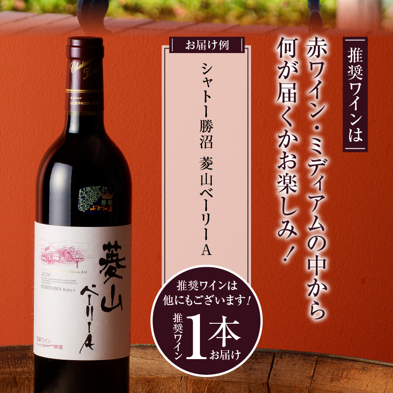 勝沼ぶどうの丘推奨 赤ワイン（ミディアムボディ）1本（KBO）B-653
