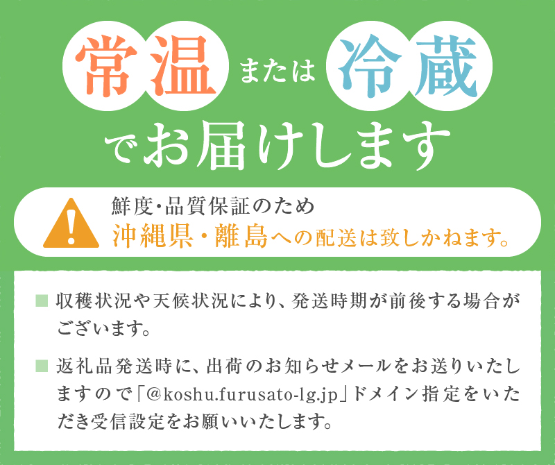 【宿沢フルーツ農園】山梨のフルーツ定期便3回コース 1～2名様用【2026年発送】（SF）D-148