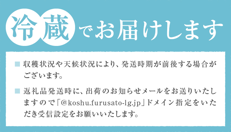 【定期便】甲州市自慢の“大玉桃6個”と“大粒シャインマスカット2房” のセット 自然農法【2025年発送】（BNC）E9-101