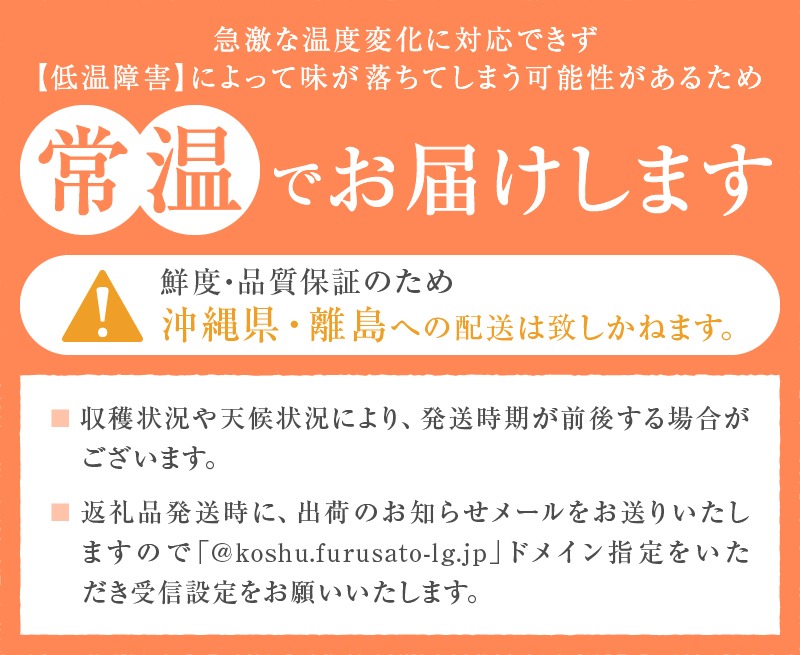 旬の採れたて大粒シャインマスカット1.3kg以上（2房～3房）【令和8年 2026年発送】（HO）B12-150