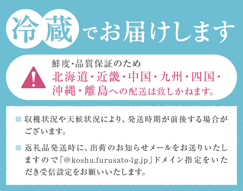 訳ありの桃《大容量》約3kg【2026年発送】（MG）A08-470