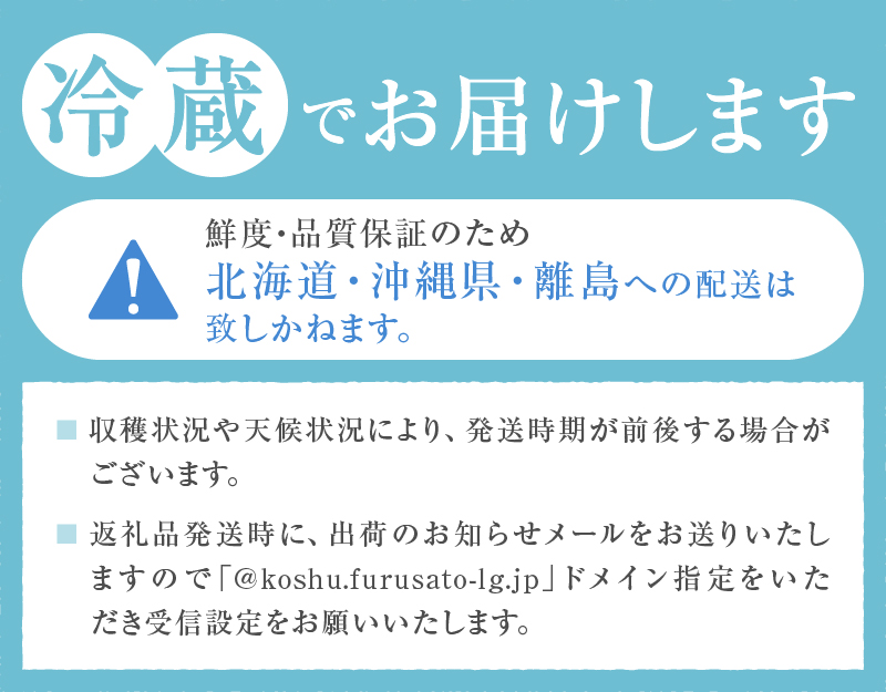 【訳あり】桃の里 旬の桃 2kg以上（5～8玉）【2025年発送】（HK）B-443