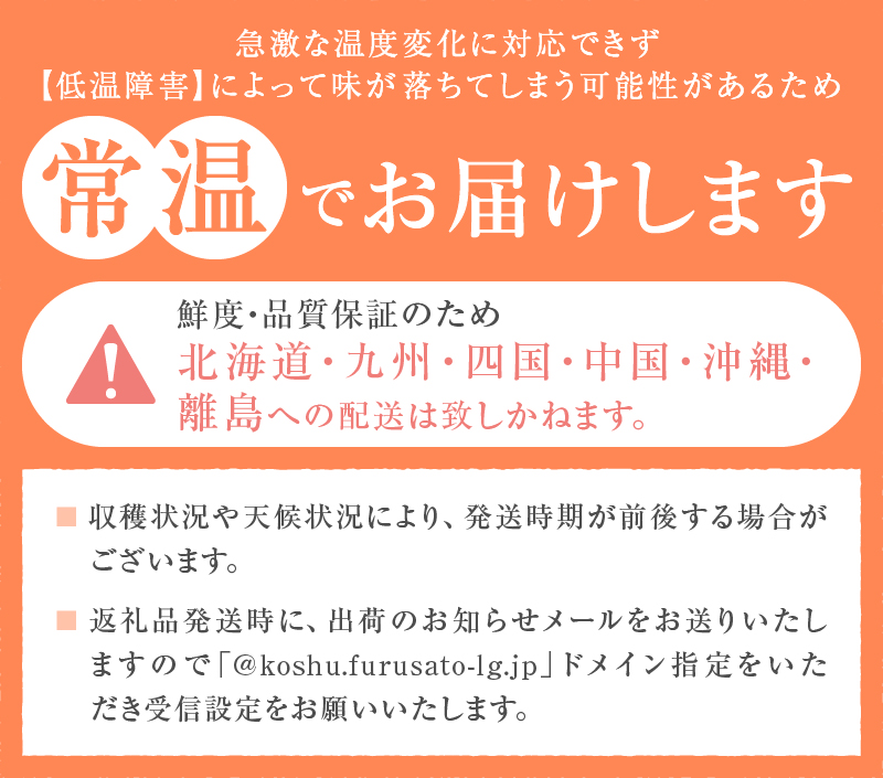 丹精込めて育てた甲州市の桃 約3kg（9～12玉）【2026年発送】（HCF）B13-845