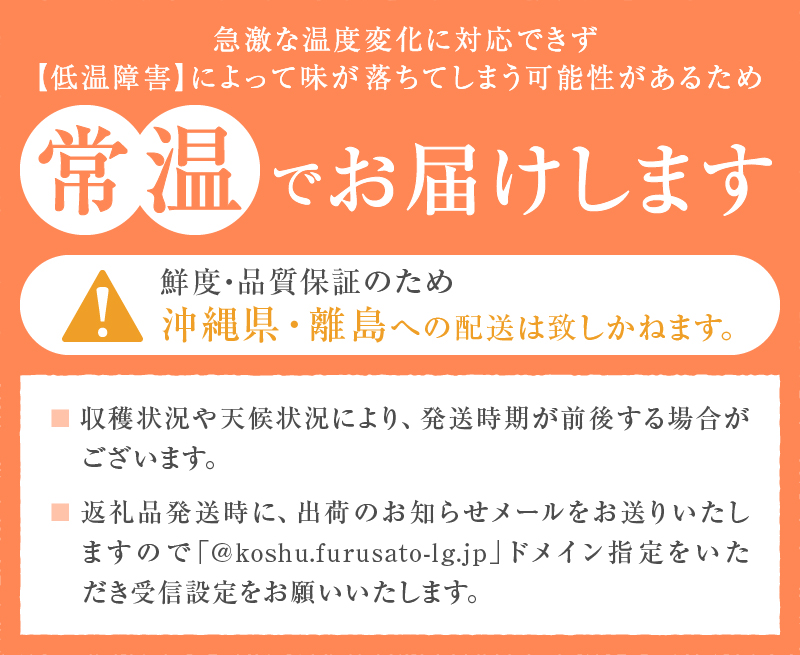 厳選 葡萄食べ比べセット 1.0kg以上 2房入り【2025年発送】（IS）B-474