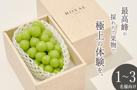 甲州市産 大粒シャインマスカット 1房入り 約700g 自然農法【2026年発送】（BNC）B18-425