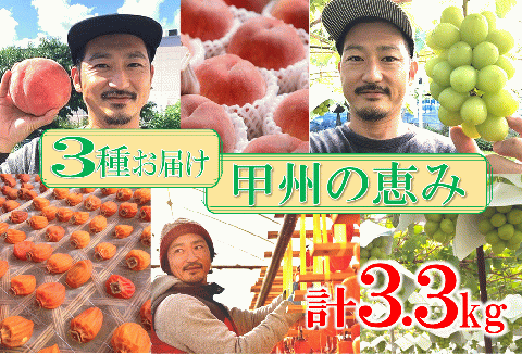 D-109．甲州市産旬のフルーツ定期便３回計3.3kg (RO)