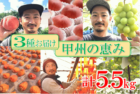 F-120．甲州市産旬のフルーツ定期便３回計5.5kg (RO)