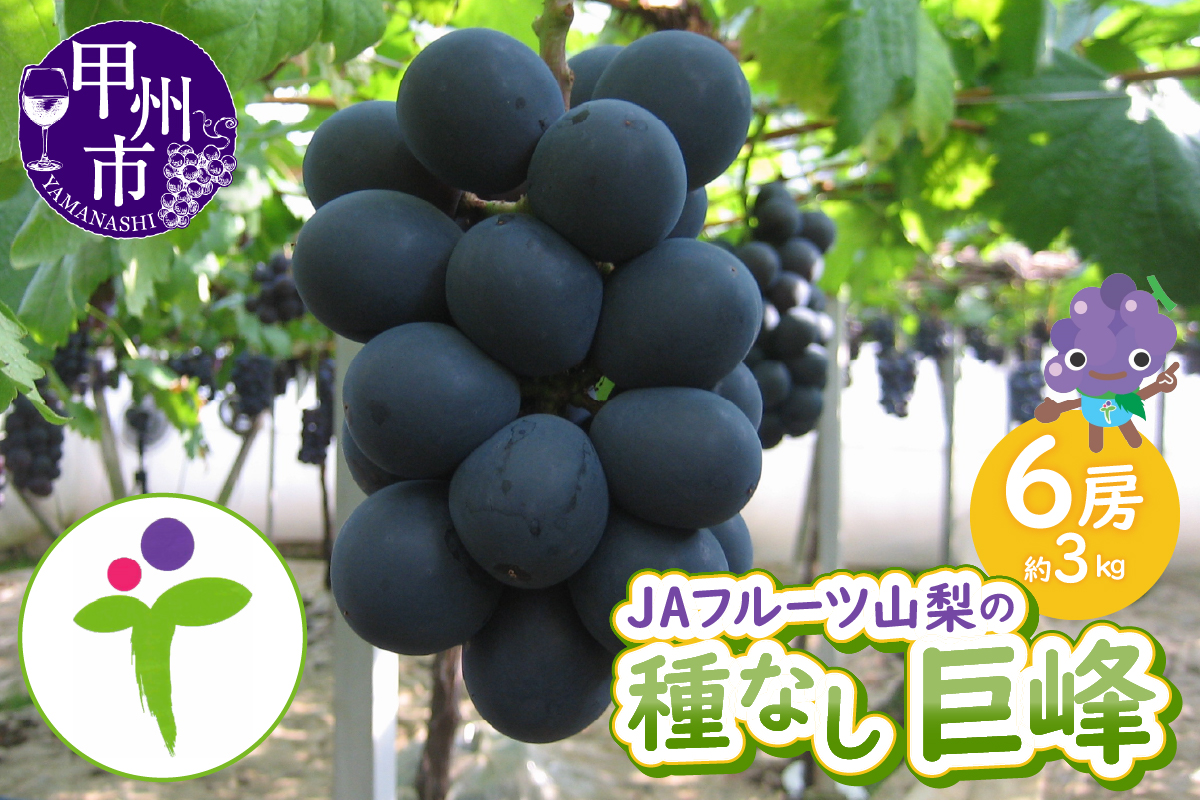 JAフルーツ山梨 甲州市産種なし巨峰6房【100】【2026年発送】C-107