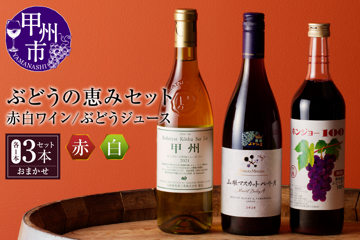 ぶどうの恵みセット　赤白ワイン（各１本）とぶどうジュース１本セット（KBO）C-653