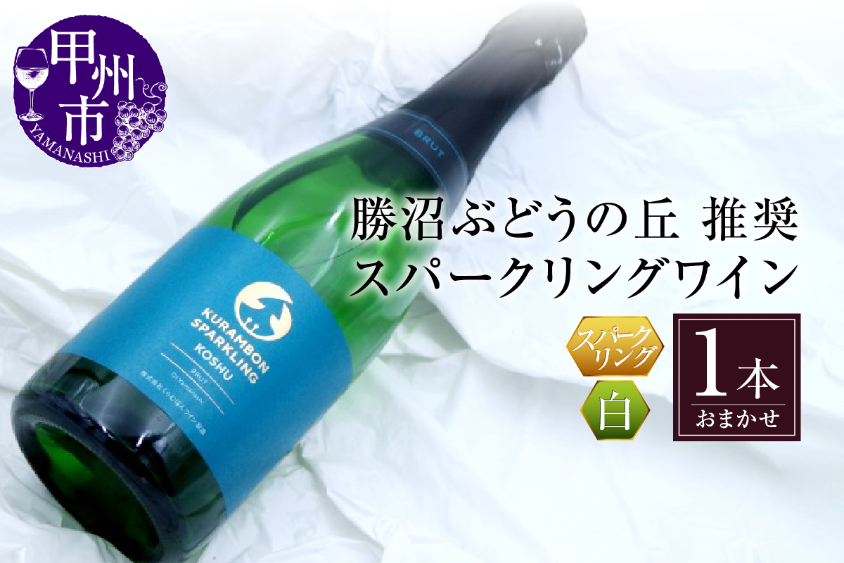 勝沼ぶどうの丘推奨 スパークリングワイン 白 1本（KBO）B-681