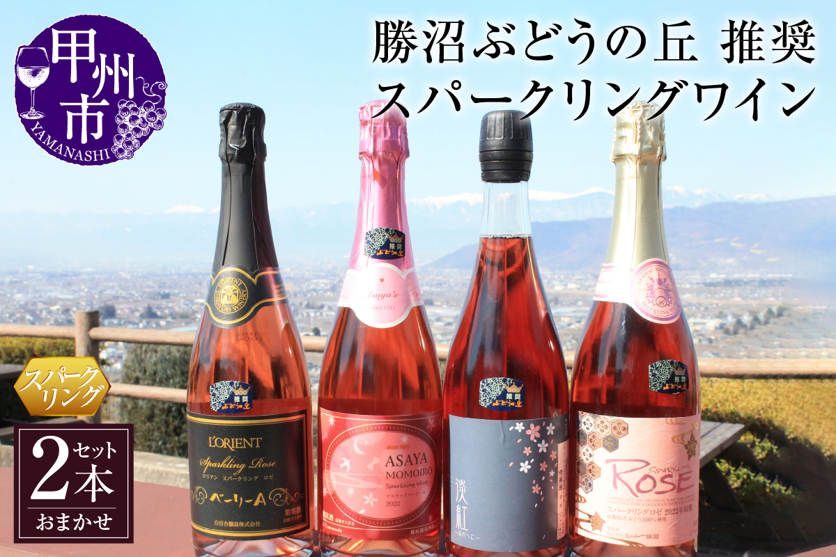 勝沼ぶどうの丘推奨 スパークリングワイン ロゼ 2本セット（KBO）B17-603