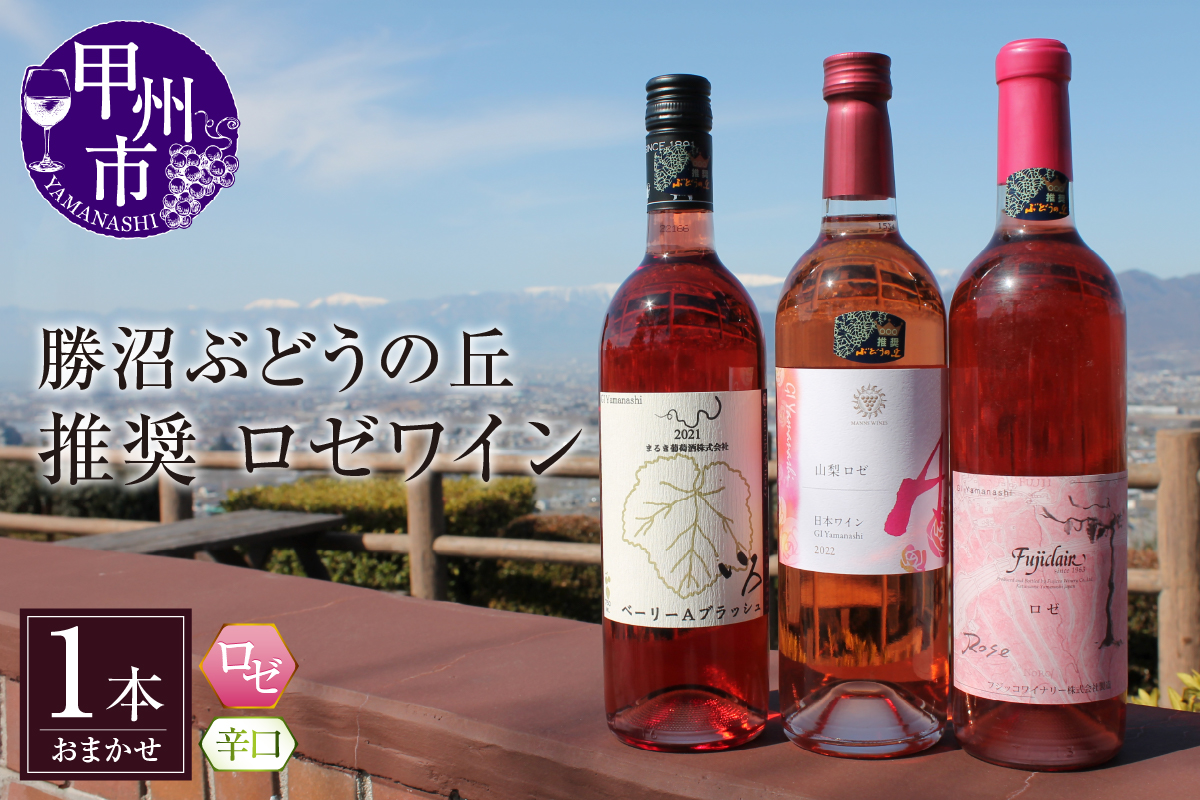 勝沼ぶどうの丘推奨 ロゼワイン（辛口）1本（KBO）B11-601