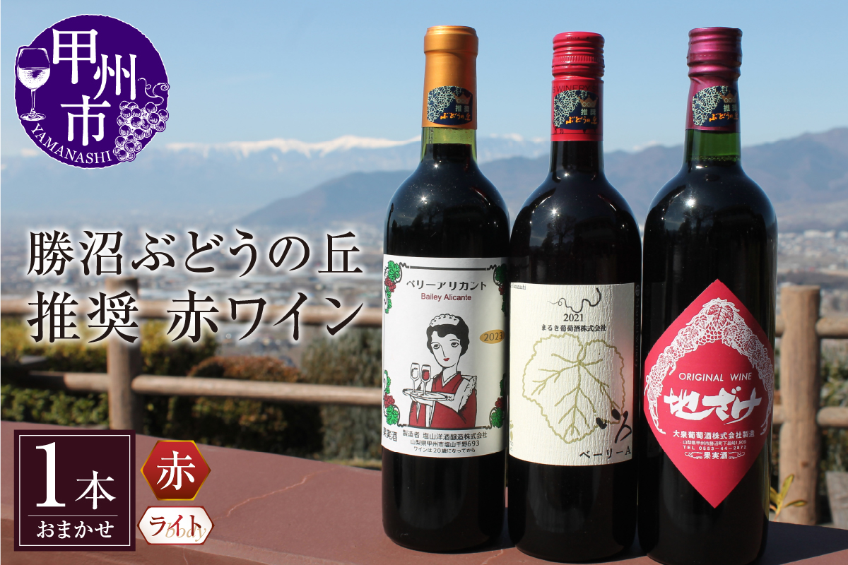 勝沼ぶどうの丘推奨 赤ワイン（ライトボディ）1本（KBO）B11-603