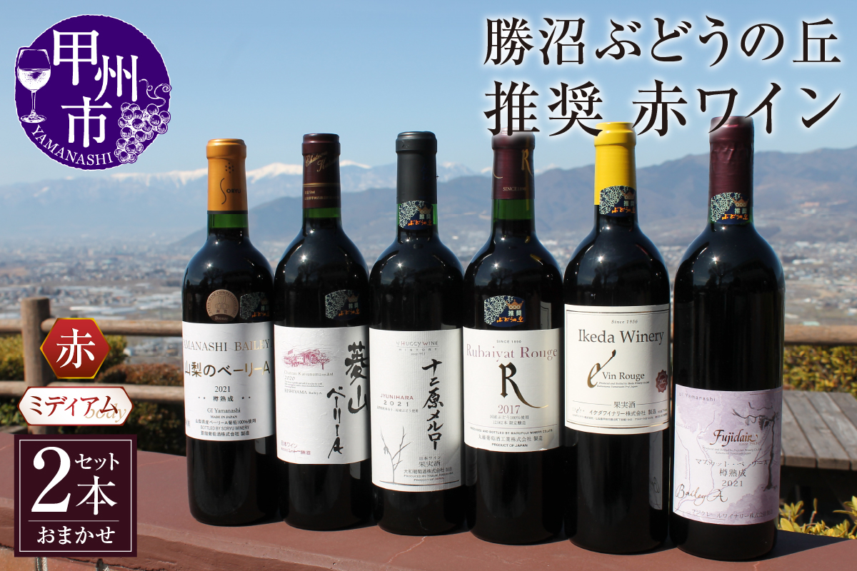 勝沼ぶどうの丘推奨 赤ワイン（ミディアムボディ）2本セット（KBO）B18-601