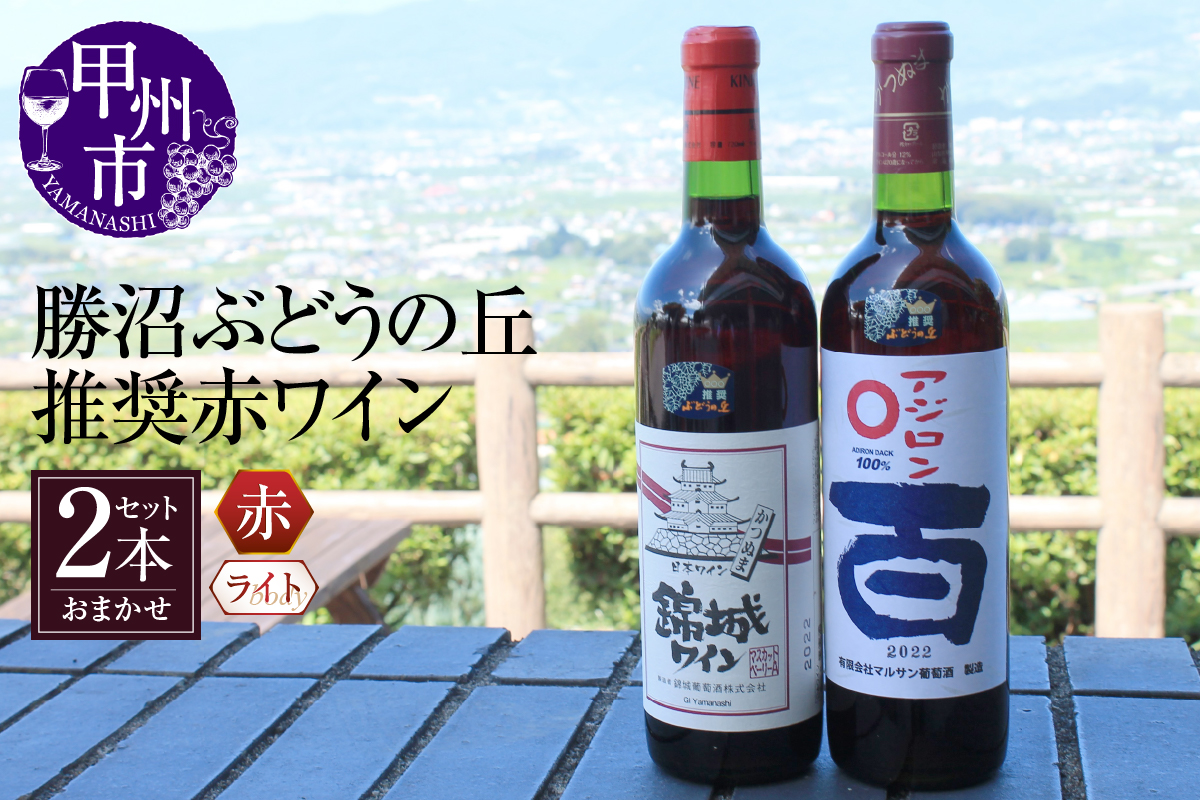 勝沼ぶどうの丘推奨 赤ワイン（ライトボディ）2本セット（KBO）B17-602