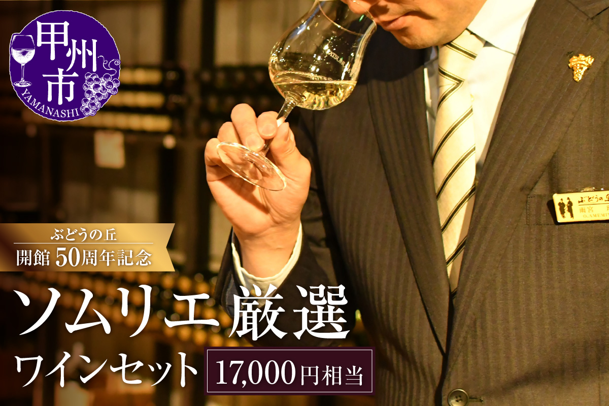 勝沼ぶどうの丘ソムリエ厳選ワインセット（17,000円相当）（KBO）H-653