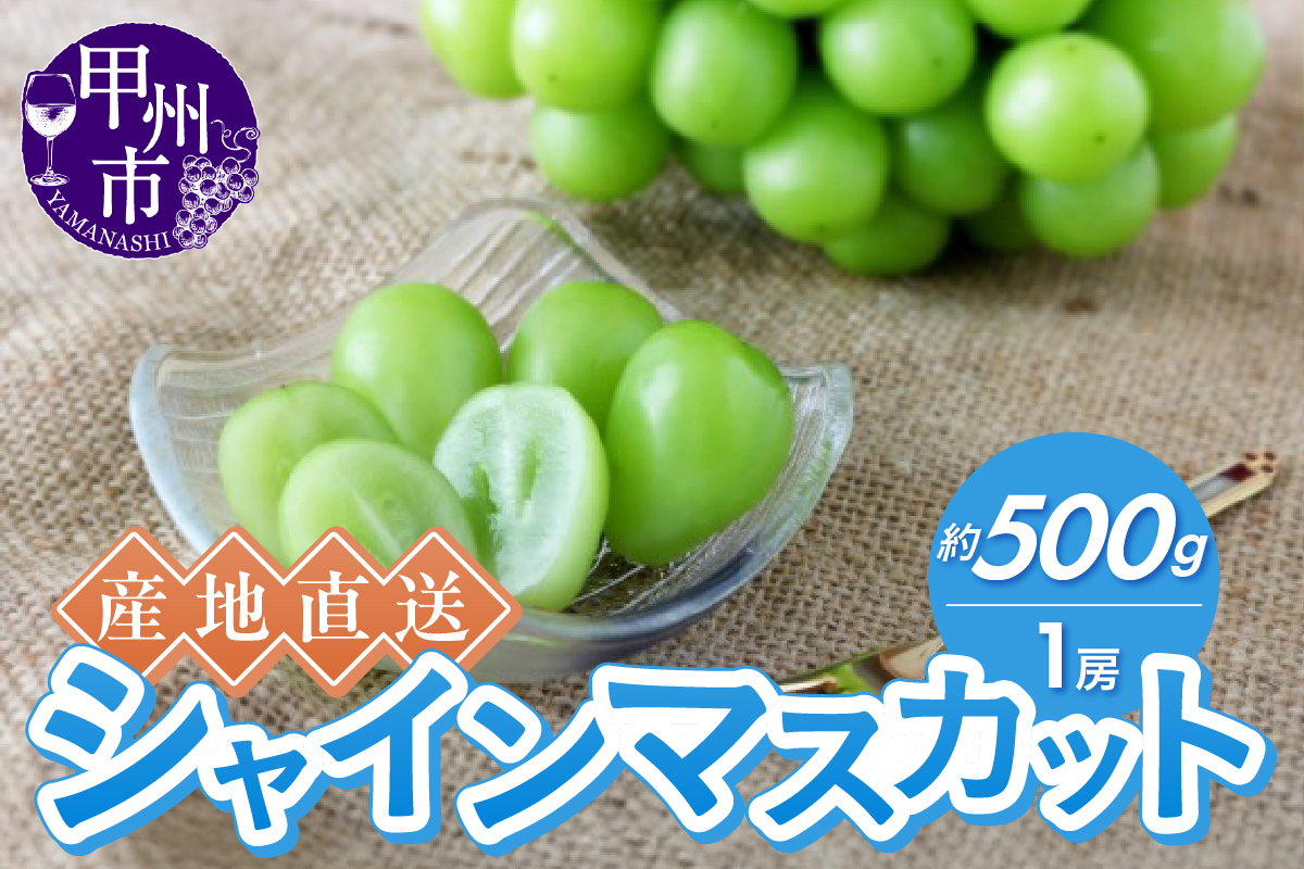 産地直送やみつきシャインマスカット 約500g（1房）【2026年発送】（RC）A06-001 rocca