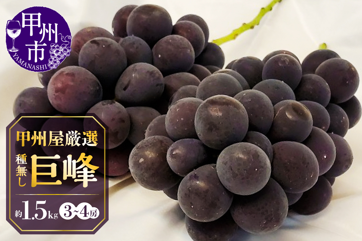 甲州屋厳選 種無し巨峰 約1.5kg 3～4房【2026年発送】B15-139