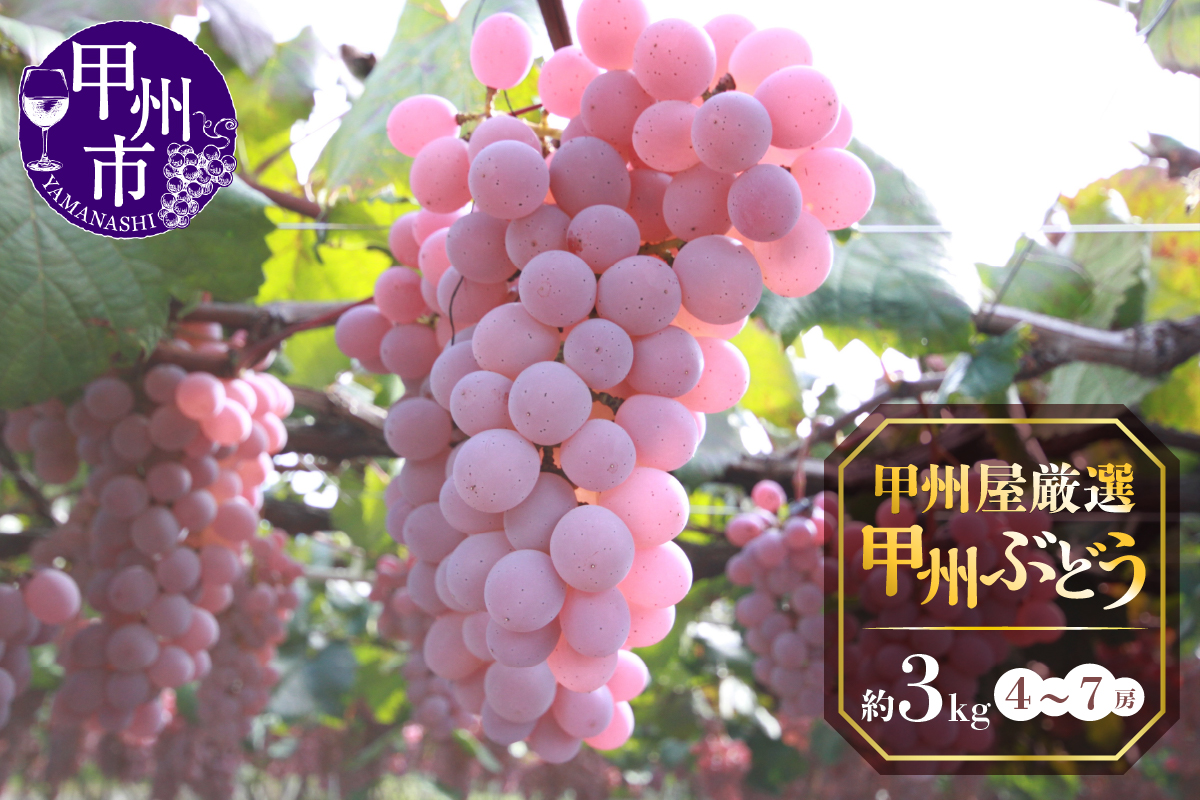 甲州屋厳選 甲州ぶどう 約3kg（4～7房）【2025年発送】B15-138