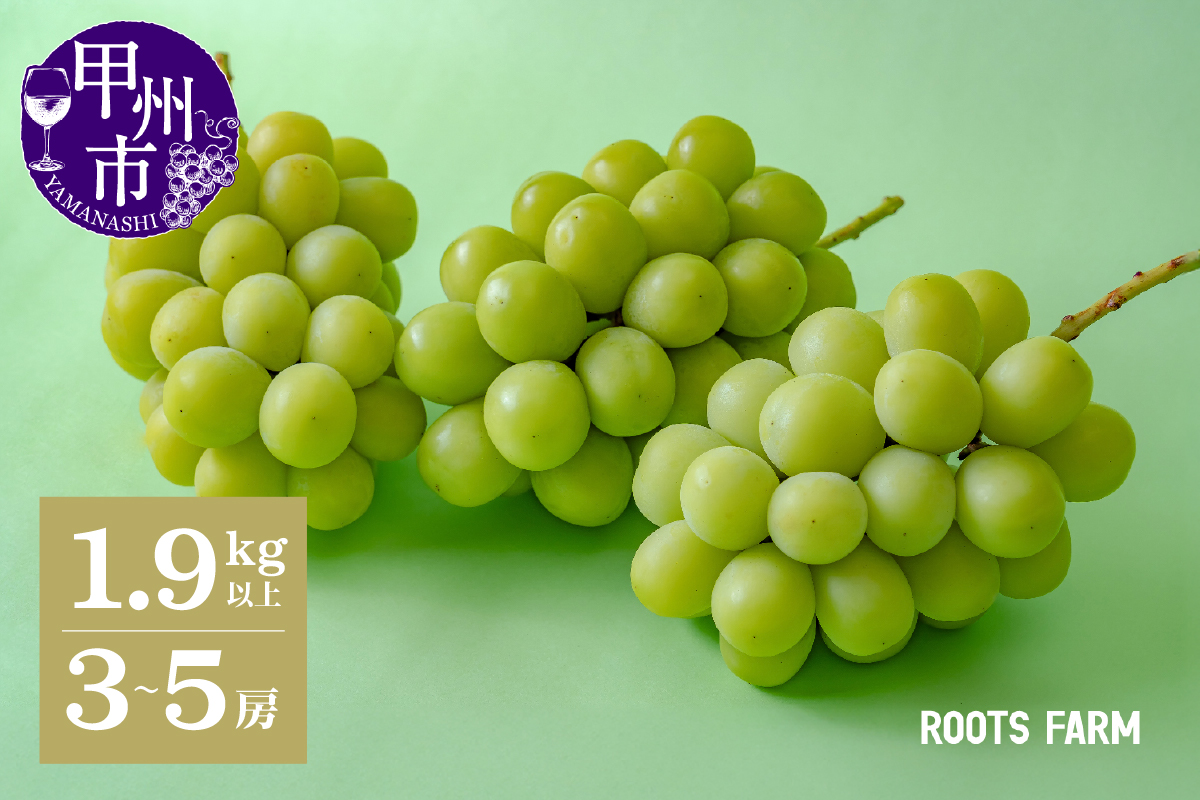 【数量限定】高品質なROOTS FARMシャインマスカット 1.9kg以上 3～5房入【2026年発送】（RO）C1-135