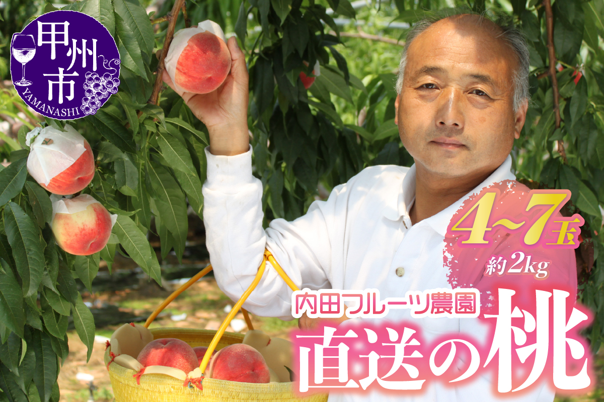 内田フルーツ農園の桃 4～7玉（約2kg）【2025年発送】（UF）B-161