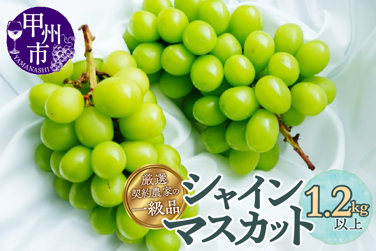 厳選契約農家の一級品 シャインマスカット1.2kg以上 2～3房【2025年配送】（SFL）B12-430