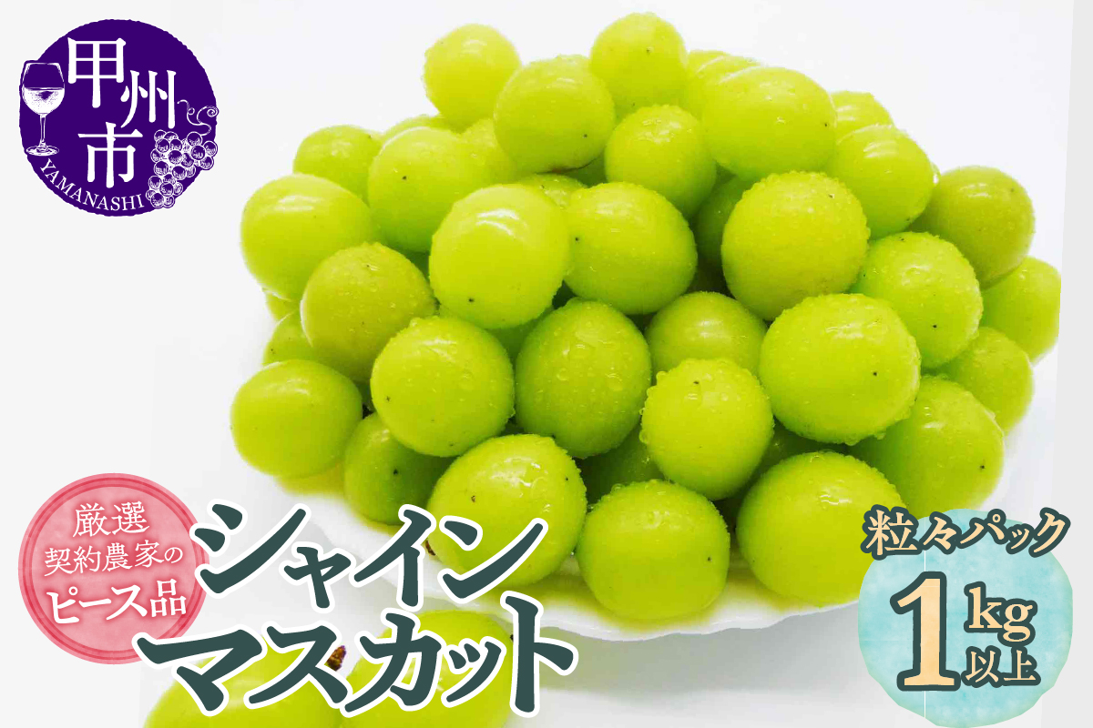 厳選契約農家の一級品 シャインマスカット1kg以上 粒々ピース品【2025年配送】（SFL）B-432