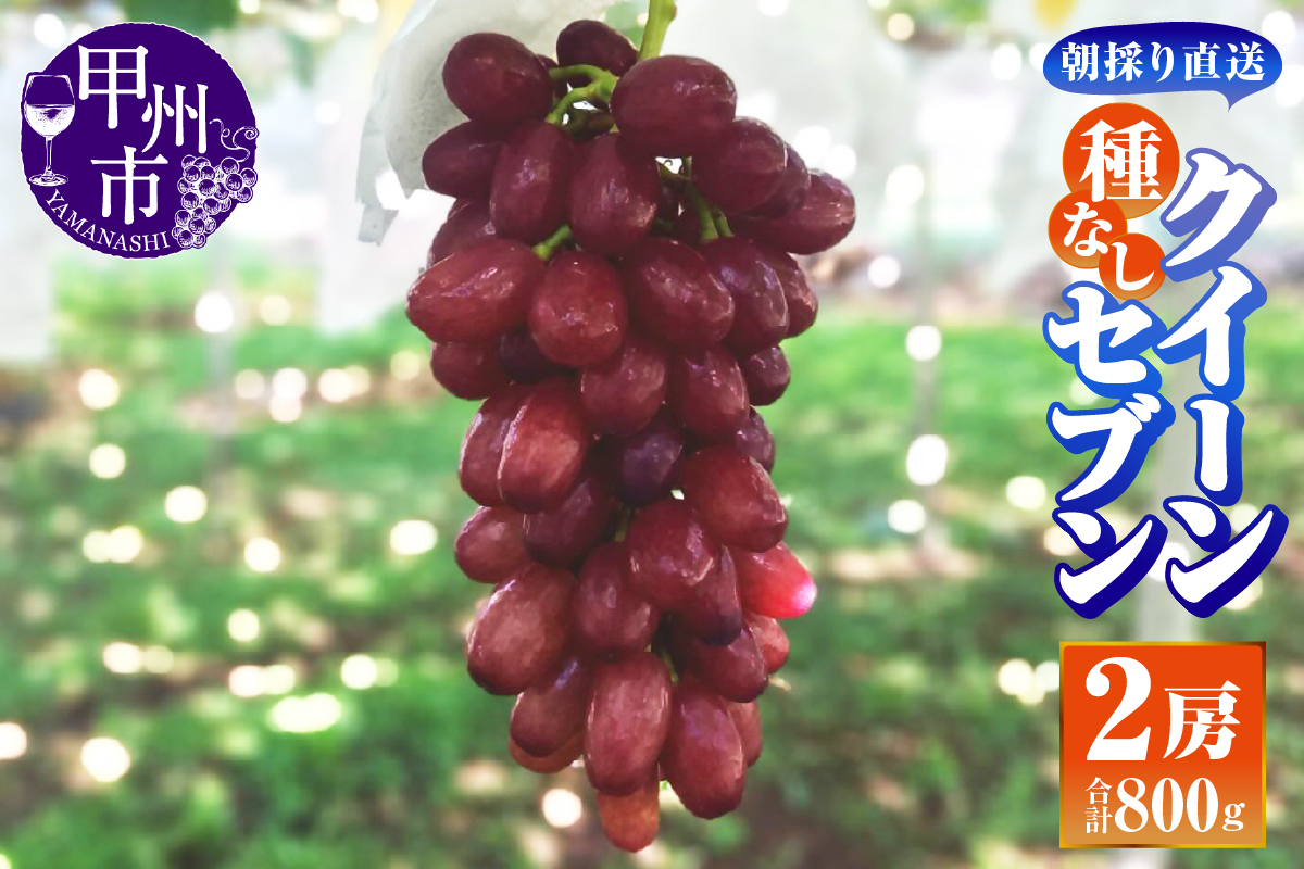 クイーンセブン(種無し)2房(400gパック×2)朝採り直送【平均糖度24度】【2025年発送】（AF）B-459