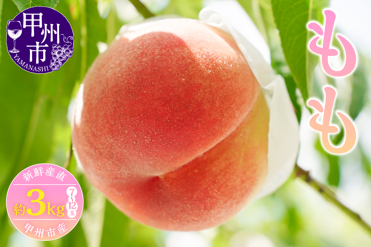 新鮮産直 甲州市！桃 約3kg 7～12玉【2026年発送】（KSF）B18-147