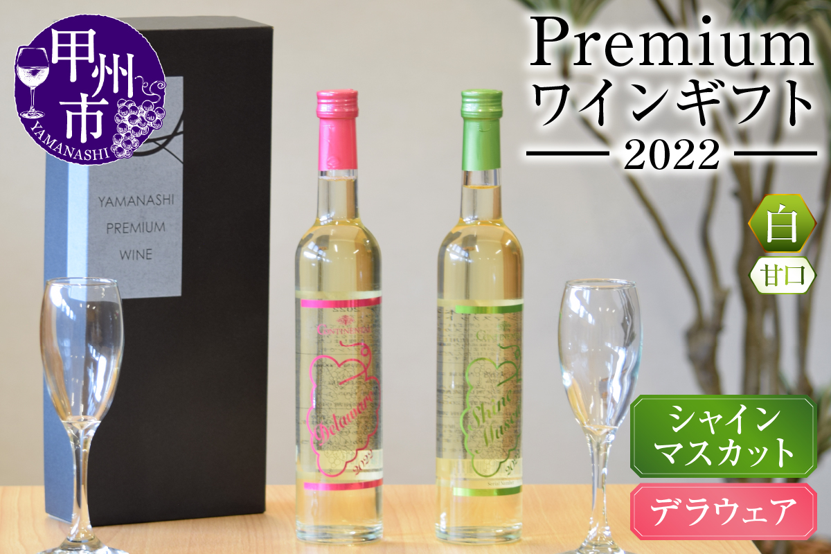 Premiumワインギフト（白）500ml×2本『シャインマスカットワイン＋デラウェアワイン』～2022～（HO）B16-775