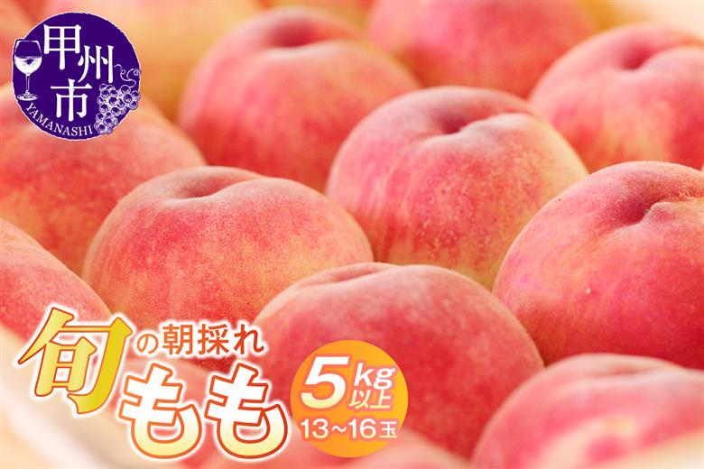 旬の朝採れ特選大玉もも 5.0kg以上（13～16玉）【2026年発送】（HO）C5-411
