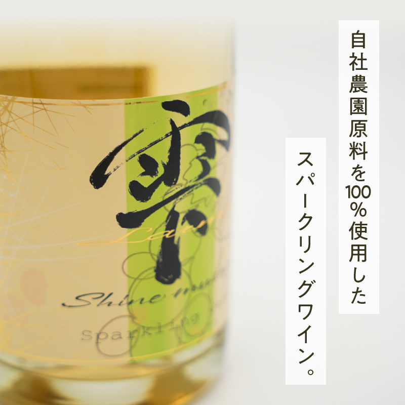 シャインマスカットスパークリングワイン ～雫（Larme）～（HO）B19-160