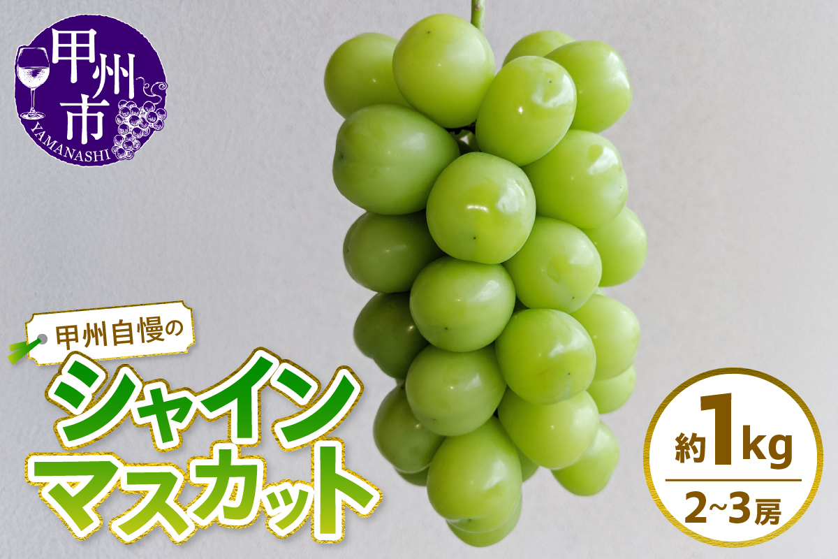 甲州自慢のシャインマスカット 約1kg（2～3房入り）【2026年発送】（NK）A08-421