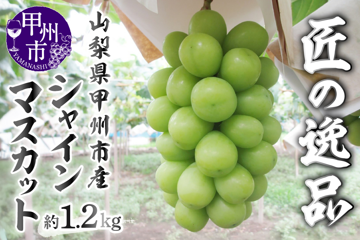 匠の逸品 シャインマスカット 約1.2kg（2～3房入り）【2026年発送】（NK）B-422