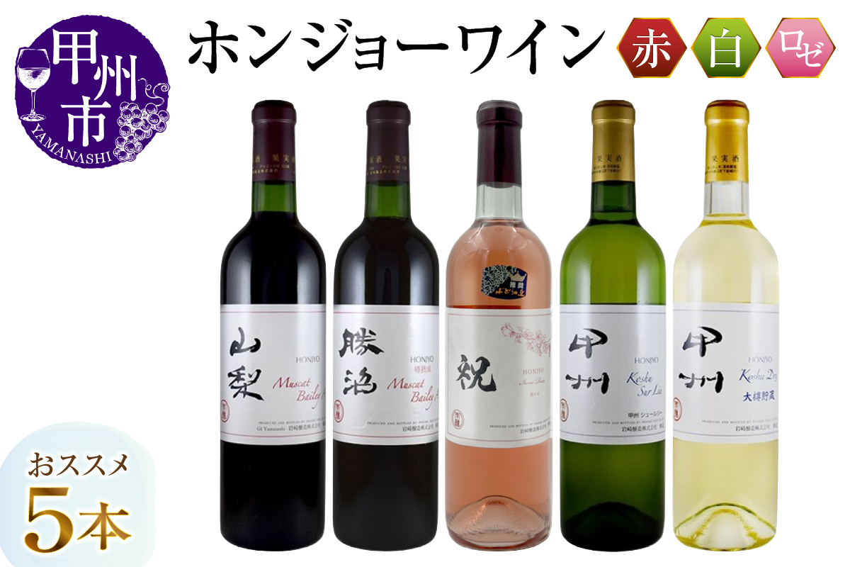 ホンジョーワインおススメ5本セット(MG) D-682